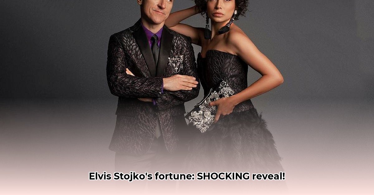 elvis-stojko-net-worth